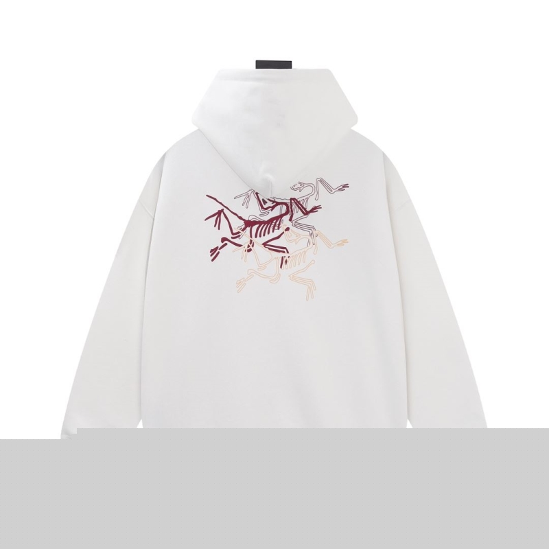 Arc Teryx Hoodies